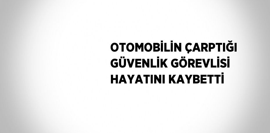 OTOMOBİLİN ÇARPTIĞI GÜVENLİK GÖREVLİSİ HAYATINI KAYBETTİ