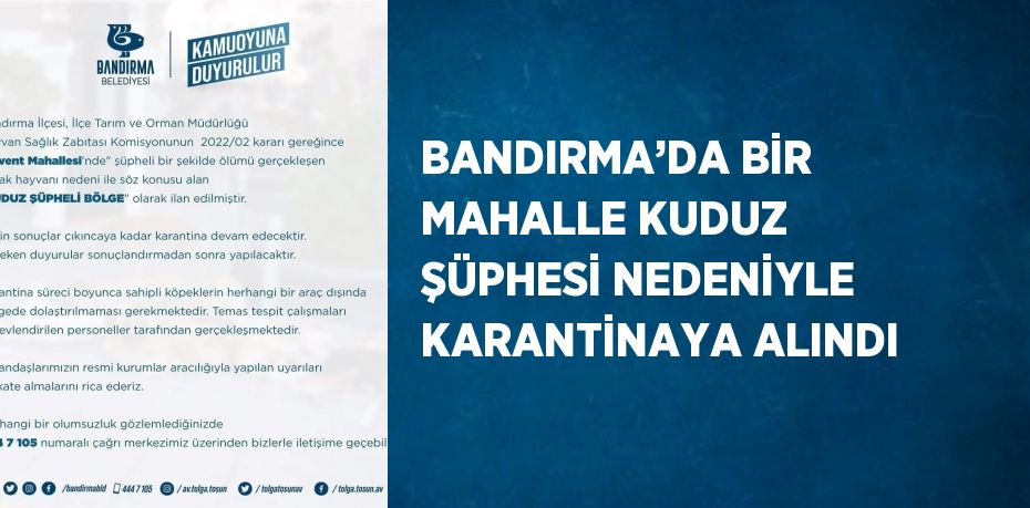 BANDIRMA’DA BİR MAHALLE KUDUZ ŞÜPHESİ NEDENİYLE KARANTİNAYA ALINDI