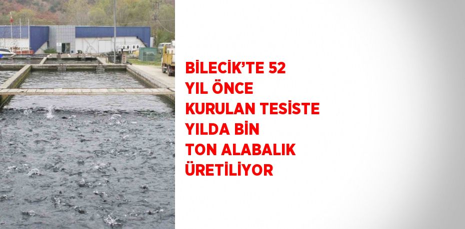 BİLECİK’TE 52 YIL ÖNCE KURULAN TESİSTE YILDA BİN TON ALABALIK ÜRETİLİYOR