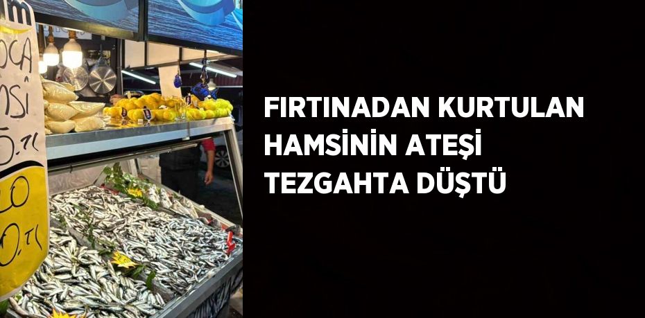 FIRTINADAN KURTULAN HAMSİNİN ATEŞİ TEZGAHTA DÜŞTÜ