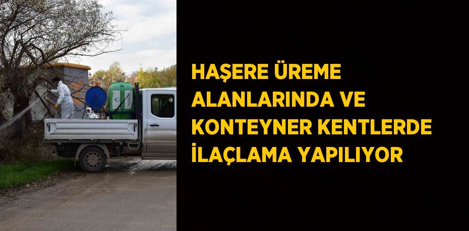 HAŞERE ÜREME ALANLARINDA VE KONTEYNER KENTLERDE İLAÇLAMA YAPILIYOR