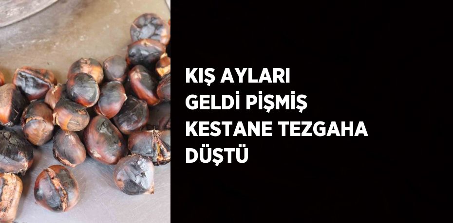 KIŞ AYLARI GELDİ PİŞMİŞ KESTANE TEZGAHA DÜŞTÜ