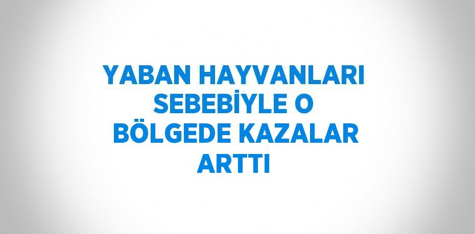 YABAN HAYVANLARI SEBEBİYLE O BÖLGEDE KAZALAR ARTTI