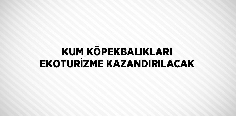 KUM KÖPEKBALIKLARI EKOTURİZME KAZANDIRILACAK