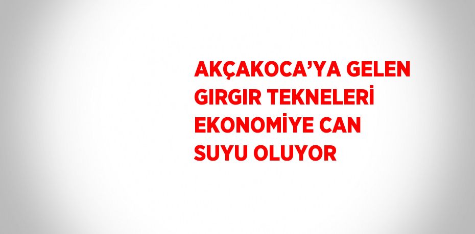 AKÇAKOCA’YA GELEN GIRGIR TEKNELERİ EKONOMİYE CAN SUYU OLUYOR