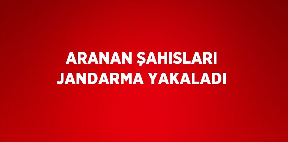 ARANAN ŞAHISLARI JANDARMA YAKALADI