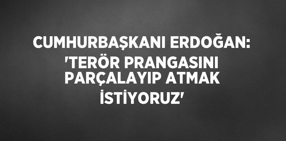 CUMHURBAŞKANI ERDOĞAN: 'TERÖR PRANGASINI PARÇALAYIP ATMAK İSTİYORUZ'