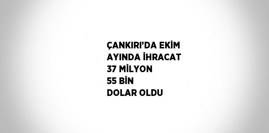 ÇANKIRI’DA EKİM AYINDA İHRACAT 37 MİLYON 55 BİN DOLAR OLDU