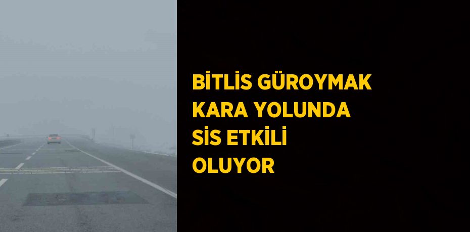 BİTLİS GÜROYMAK KARA YOLUNDA SİS ETKİLİ OLUYOR