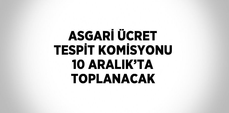 ASGARİ ÜCRET TESPİT KOMİSYONU 10 ARALIK’TA TOPLANACAK