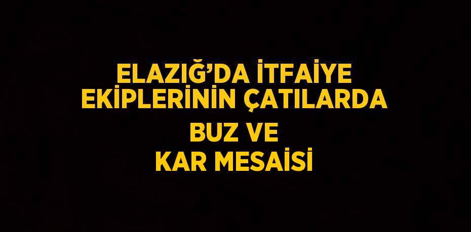 ELAZIĞ’DA İTFAİYE EKİPLERİNİN ÇATILARDA BUZ VE KAR MESAİSİ