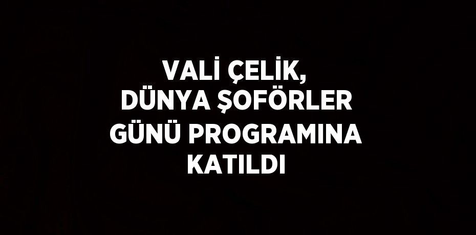 VALİ ÇELİK, DÜNYA ŞOFÖRLER GÜNÜ PROGRAMINA KATILDI