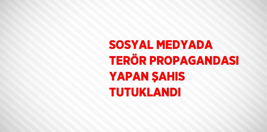 SOSYAL MEDYADA TERÖR PROPAGANDASI YAPAN ŞAHIS TUTUKLANDI