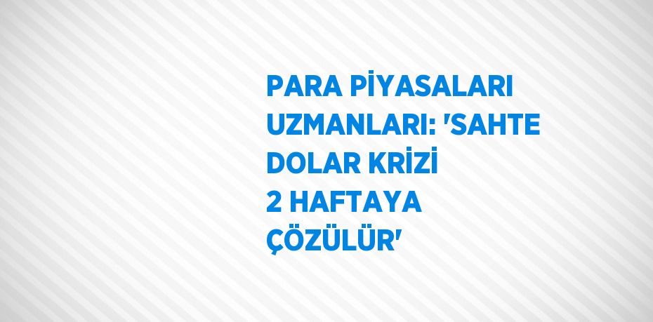 PARA PİYASALARI UZMANLARI: 'SAHTE DOLAR KRİZİ 2 HAFTAYA ÇÖZÜLÜR'