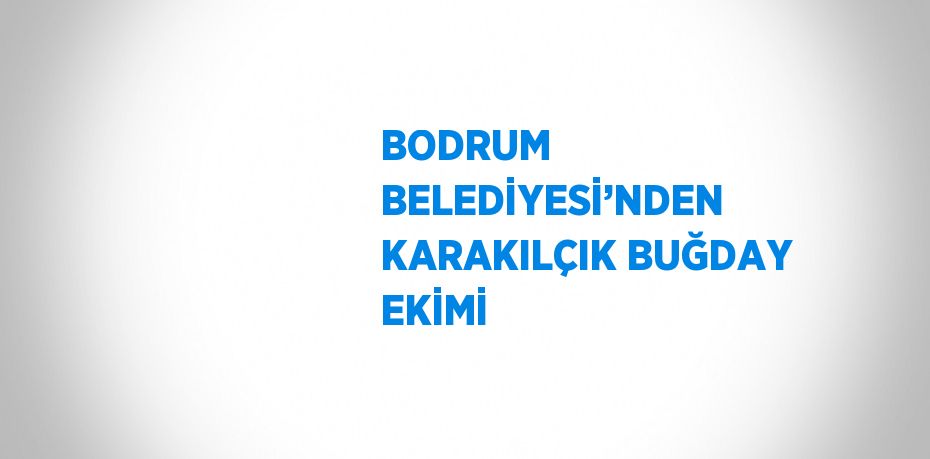 BODRUM BELEDİYESİ’NDEN KARAKILÇIK BUĞDAY EKİMİ