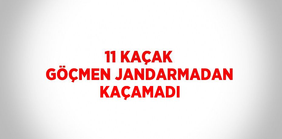 11 KAÇAK GÖÇMEN JANDARMADAN KAÇAMADI