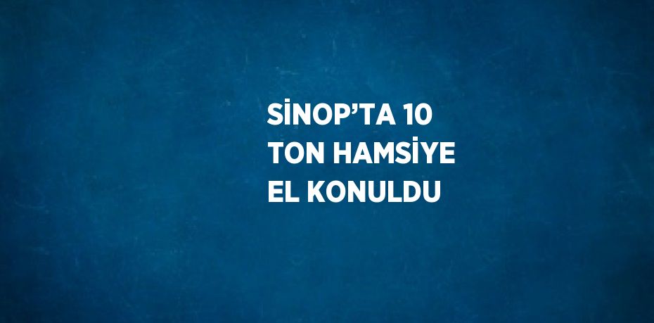 SİNOP’TA 10 TON HAMSİYE EL KONULDU