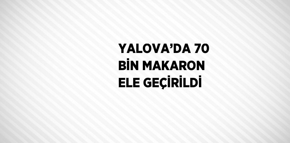 YALOVA’DA 70 BİN MAKARON ELE GEÇİRİLDİ