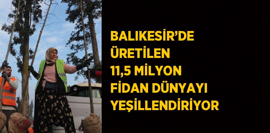 BALIKESİR’DE ÜRETİLEN 11,5 MİLYON FİDAN DÜNYAYI YEŞİLLENDİRİYOR