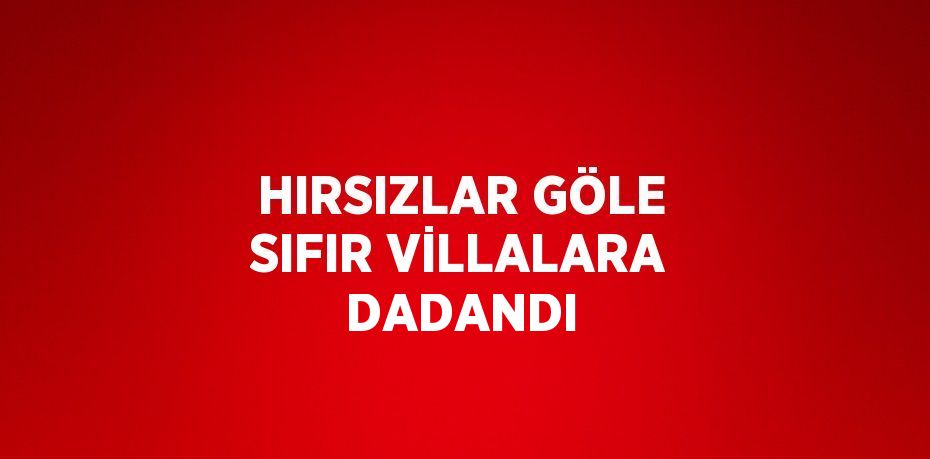 HIRSIZLAR GÖLE SIFIR VİLLALARA DADANDI