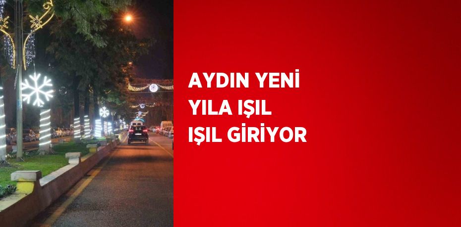 AYDIN YENİ YILA IŞIL IŞIL GİRİYOR