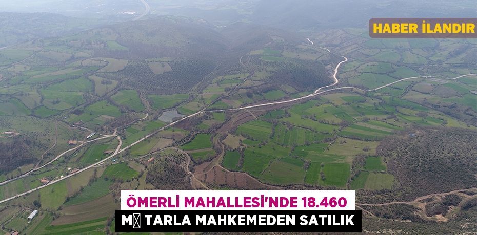 Ömerli Mahallesi'nde 18.460 m² tarla mahkemeden satılık