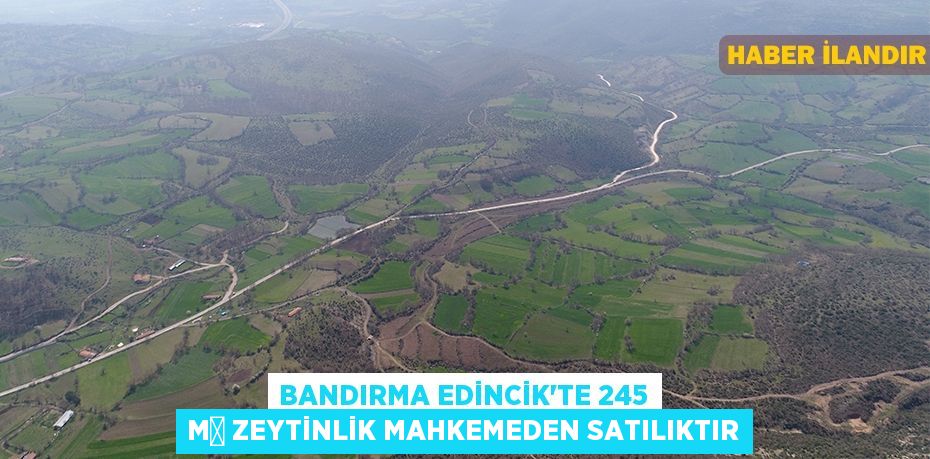 Bandırma Edincik'te 245 m² zeytinlik mahkemeden satılıktır