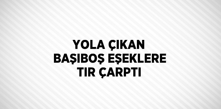 YOLA ÇIKAN BAŞIBOŞ EŞEKLERE TIR ÇARPTI