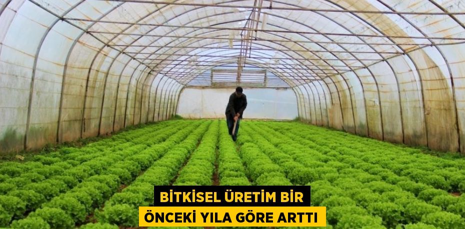 BİTKİSEL ÜRETİM BİR ÖNCEKİ YILA GÖRE ARTTI