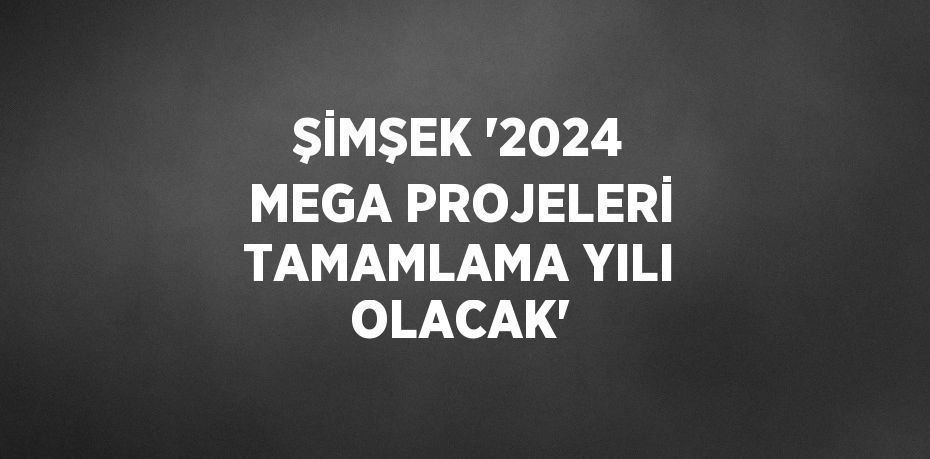 ŞİMŞEK '2024 MEGA PROJELERİ TAMAMLAMA YILI OLACAK'