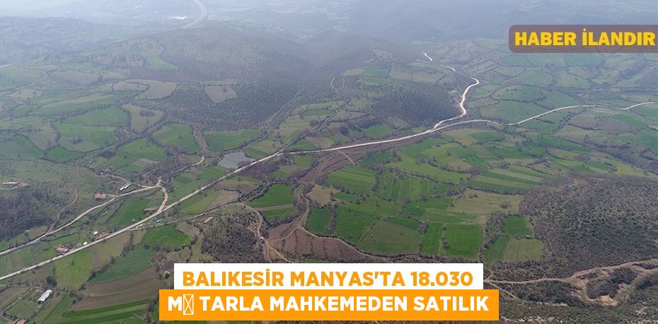 Balıkesir Manyas'ta 18.030 m² tarla mahkemeden satılık