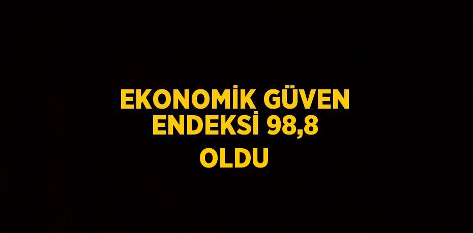 EKONOMİK GÜVEN ENDEKSİ 98,8 OLDU