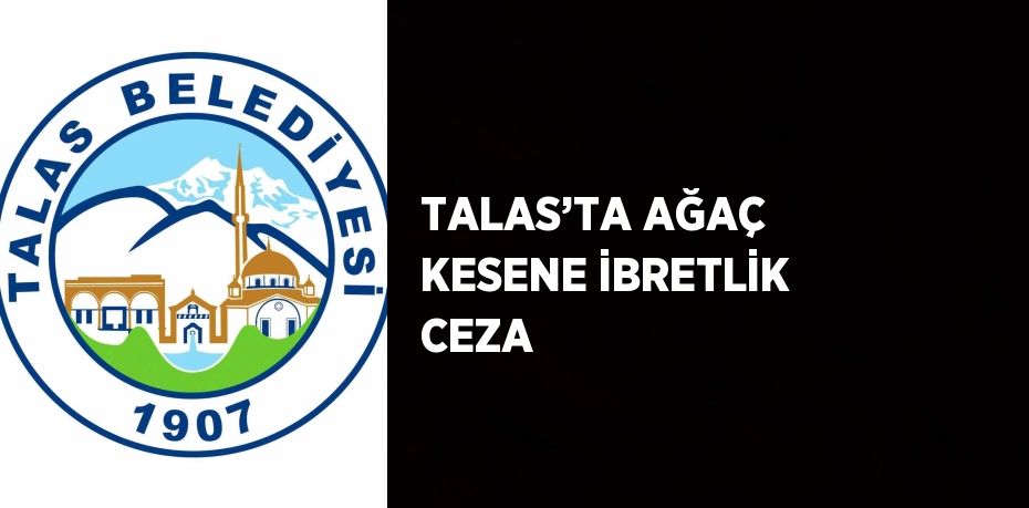 TALAS’TA AĞAÇ KESENE İBRETLİK CEZA