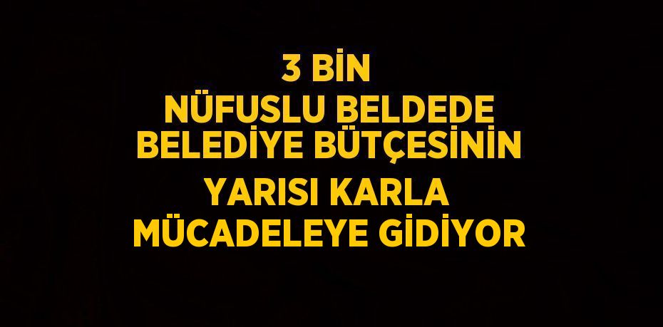 3 BİN NÜFUSLU BELDEDE BELEDİYE BÜTÇESİNİN YARISI KARLA MÜCADELEYE GİDİYOR