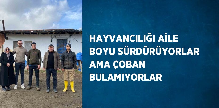 HAYVANCILIĞI AİLE BOYU SÜRDÜRÜYORLAR AMA ÇOBAN BULAMIYORLAR