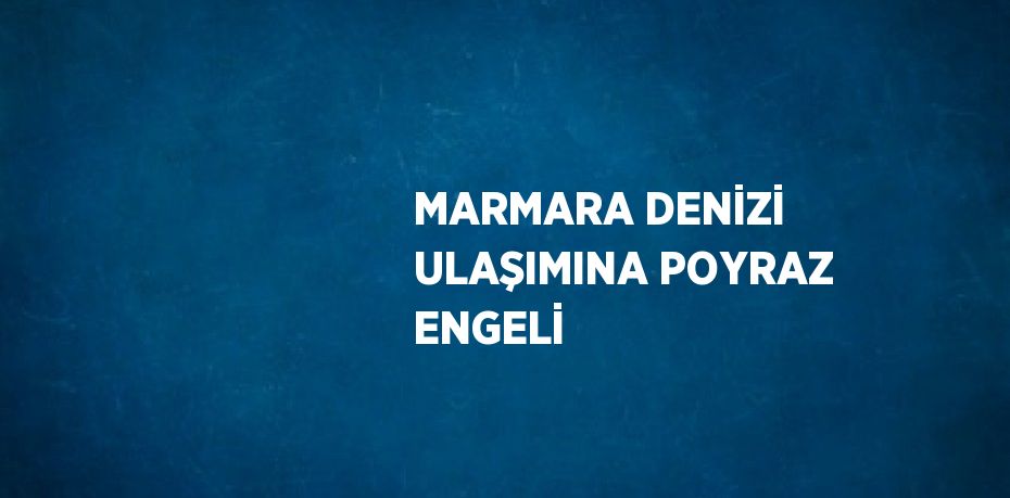 MARMARA DENİZİ ULAŞIMINA POYRAZ ENGELİ