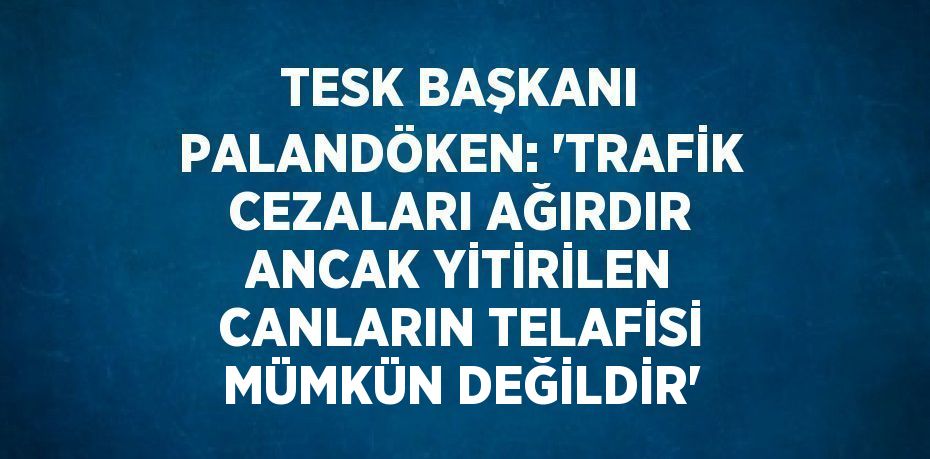 TESK BAŞKANI PALANDÖKEN: 'TRAFİK CEZALARI AĞIRDIR ANCAK YİTİRİLEN CANLARIN TELAFİSİ MÜMKÜN DEĞİLDİR'