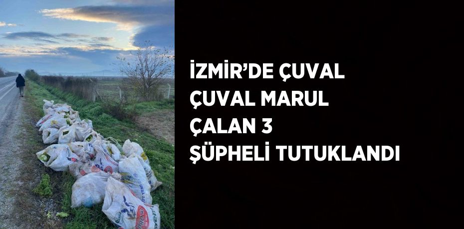 İZMİR’DE ÇUVAL ÇUVAL MARUL ÇALAN 3 ŞÜPHELİ TUTUKLANDI