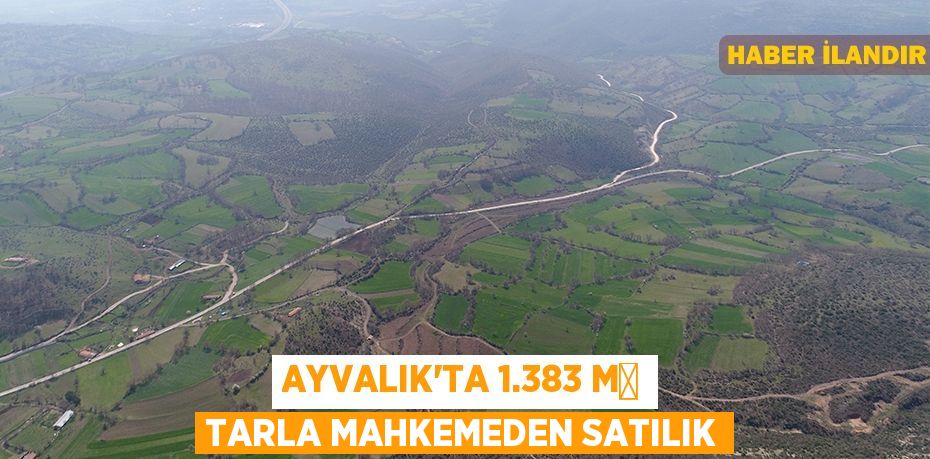 Ayvalık'ta 1.383 m² tarla mahkemeden satılık