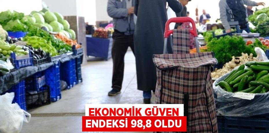 EKONOMİK GÜVEN ENDEKSİ 98,8 OLDU