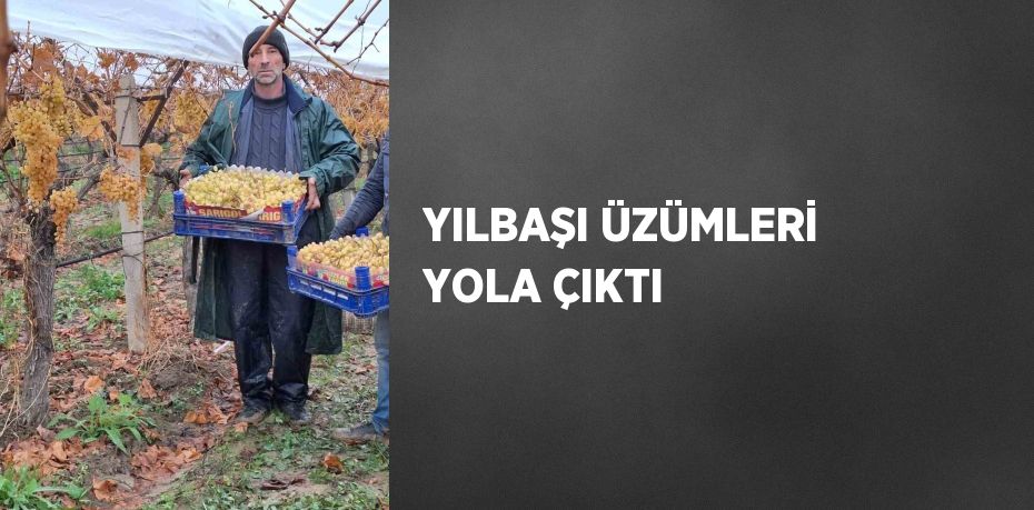 YILBAŞI ÜZÜMLERİ YOLA ÇIKTI