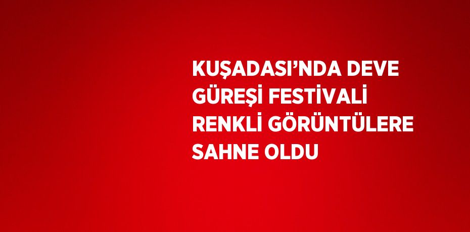 KUŞADASI’NDA DEVE GÜREŞİ FESTİVALİ RENKLİ GÖRÜNTÜLERE SAHNE OLDU