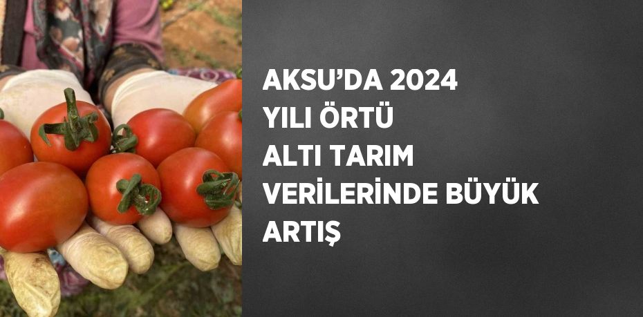 AKSU’DA 2024 YILI ÖRTÜ ALTI TARIM VERİLERİNDE BÜYÜK ARTIŞ