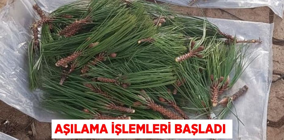 AŞILAMA İŞLEMLERİ BAŞLADI