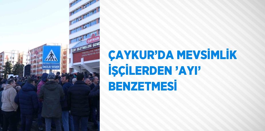 ÇAYKUR’DA MEVSİMLİK İŞÇİLERDEN ’AYI’ BENZETMESİ