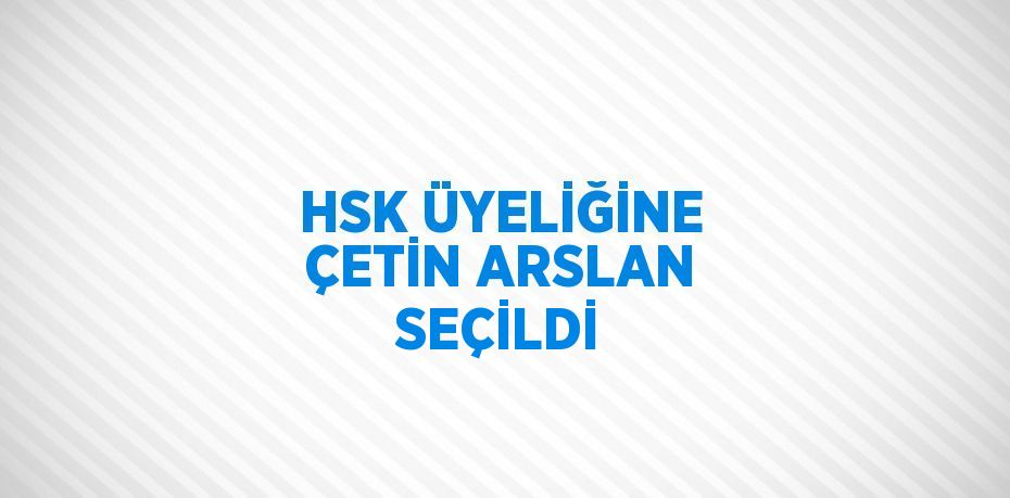 HSK ÜYELİĞİNE ÇETİN ARSLAN SEÇİLDİ