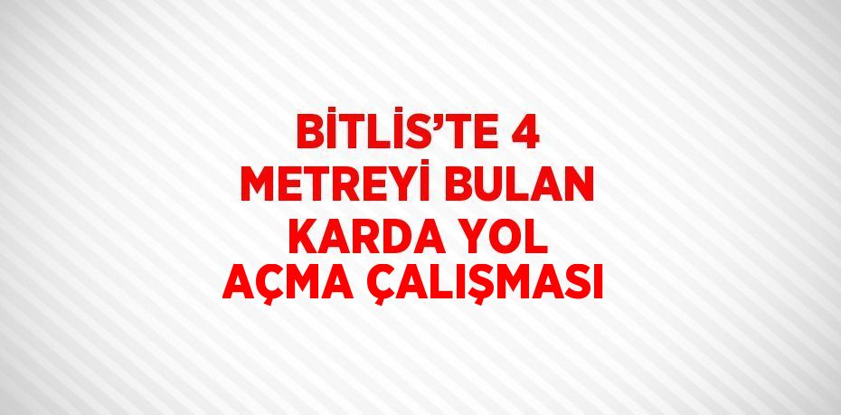 BİTLİS’TE 4 METREYİ BULAN KARDA YOL AÇMA ÇALIŞMASI