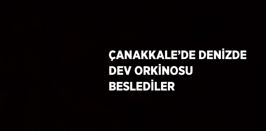 ÇANAKKALE’DE DENİZDE DEV ORKİNOSU BESLEDİLER