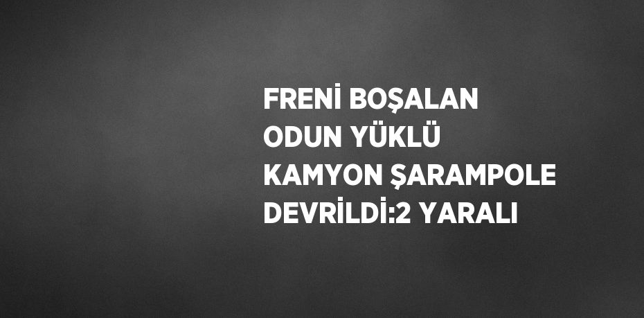 FRENİ BOŞALAN ODUN YÜKLÜ KAMYON ŞARAMPOLE DEVRİLDİ:2 YARALI