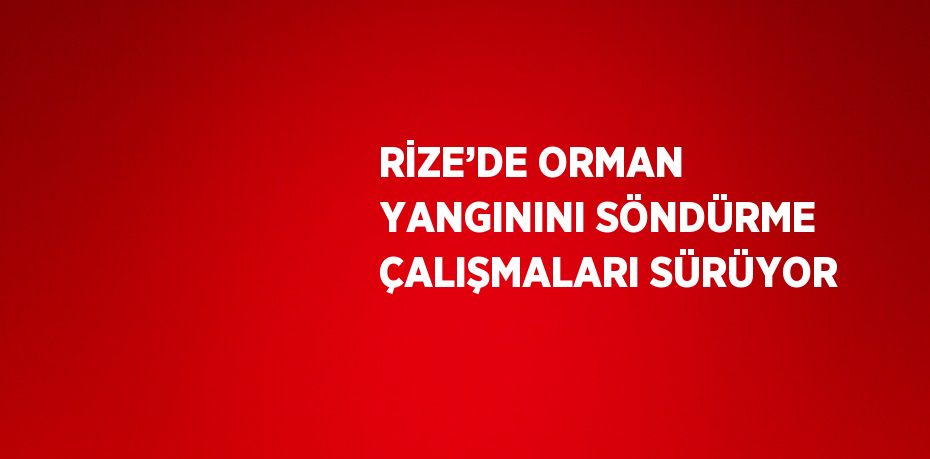 RİZE’DE ORMAN YANGININI SÖNDÜRME ÇALIŞMALARI SÜRÜYOR